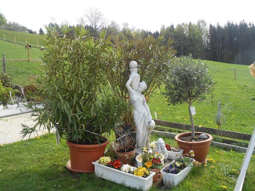 Privatzimmer Haus Gschweitl Semriach Buitenkant foto