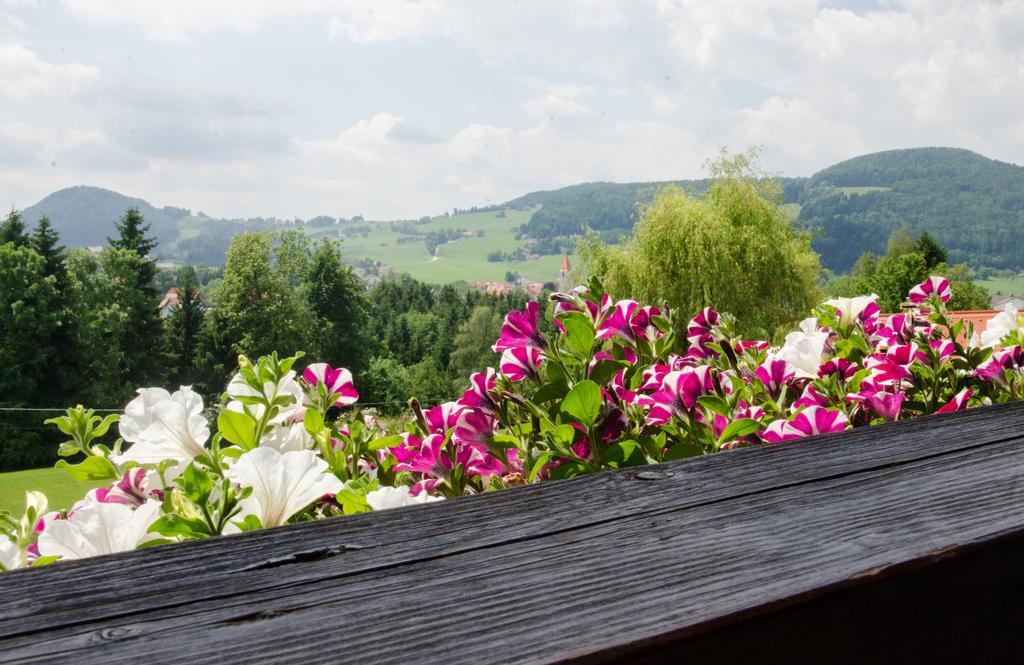 Privatzimmer Haus Gschweitl Semriach Buitenkant foto